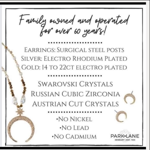 Park Lane Encore Earrings 🆕 Hematite Aurora Borealis - Picture 13 of 13